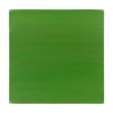 'Green Navigator' | 2008