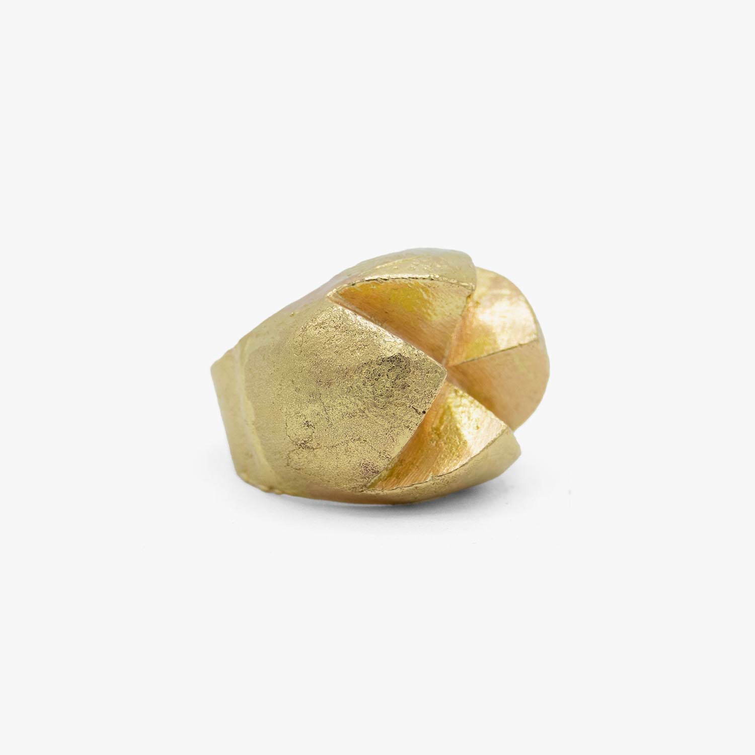 Hector Lasso Kudala Ruda - 18K Gold Ring – FETNEH BLAKE CONCEPT