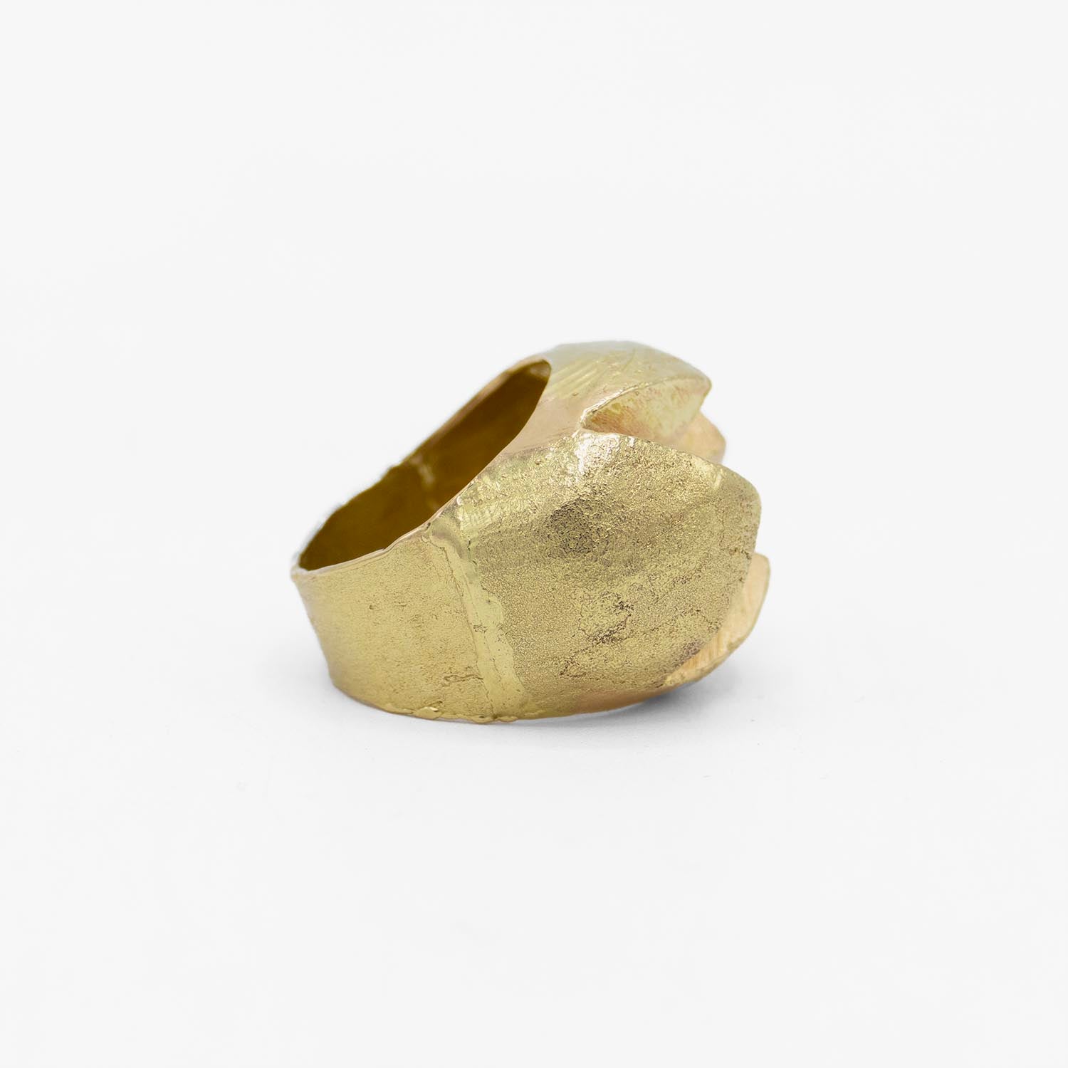 Hector Lasso Kudala Ruda - 18K Gold Ring – FETNEH BLAKE CONCEPT