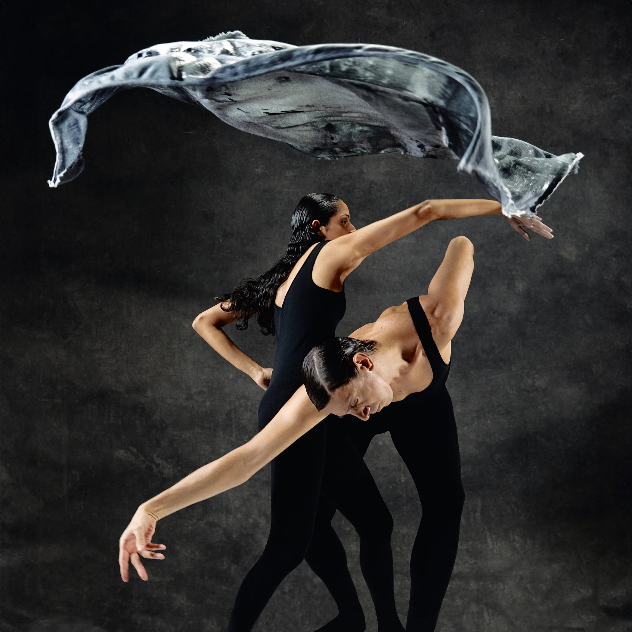 Dancers with a limited edition hand-painted cashmere and silk scarf in gray, black, and white tones with frayed edges and a silver lamination.