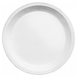 Astier de Villatte Large Perles Dinner Plate